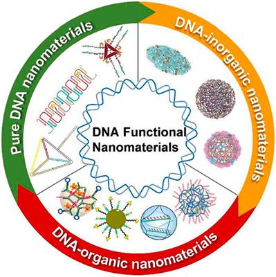 Editorial: Engineering Nucleic Acids-Based Functional Nanomaterials, Nanodrugs, and Biosensors